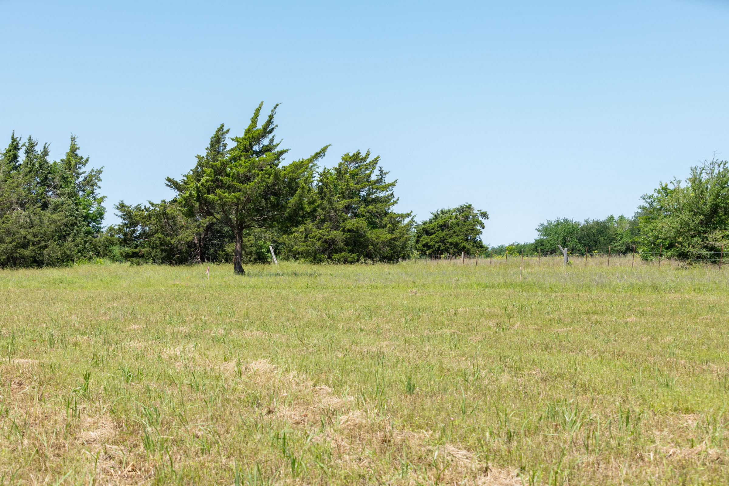 Tract 1 at Wildflower Reserve in Hunt County, Texas