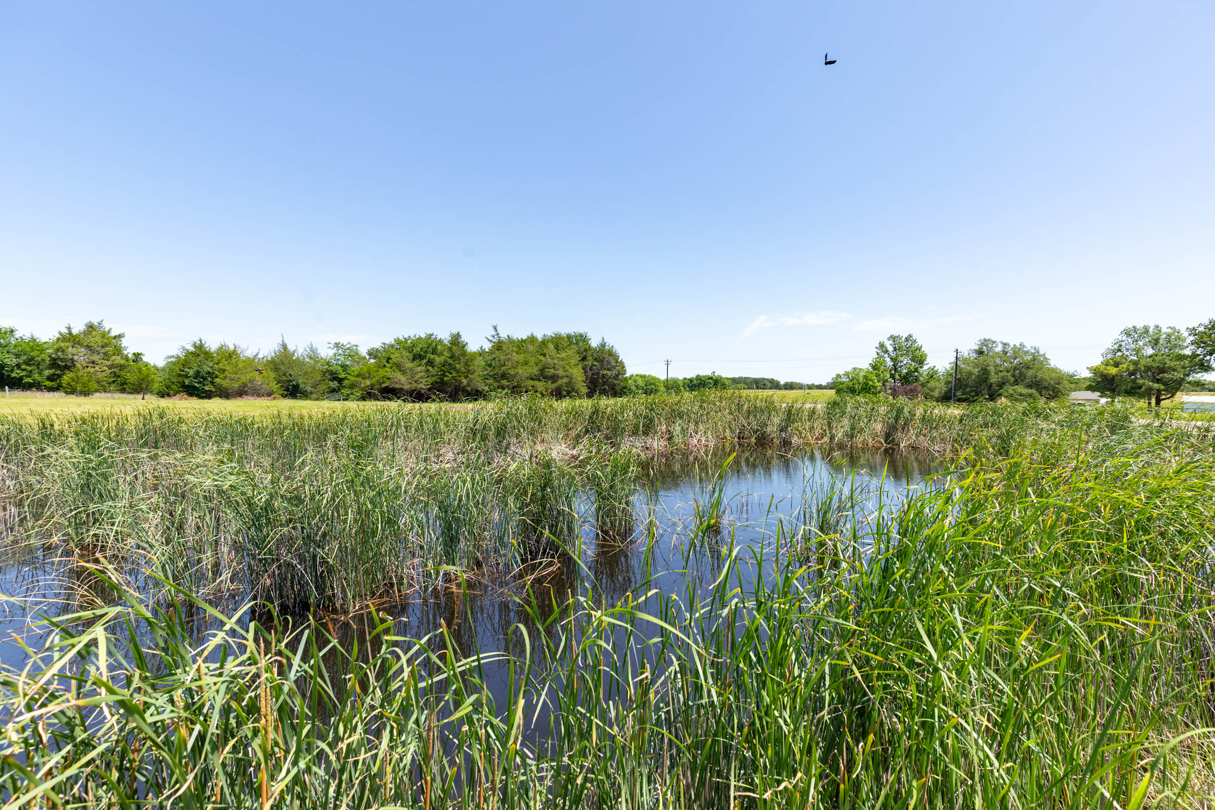 Tract 2 at Wildflower Reserve in Hunt County, Texas