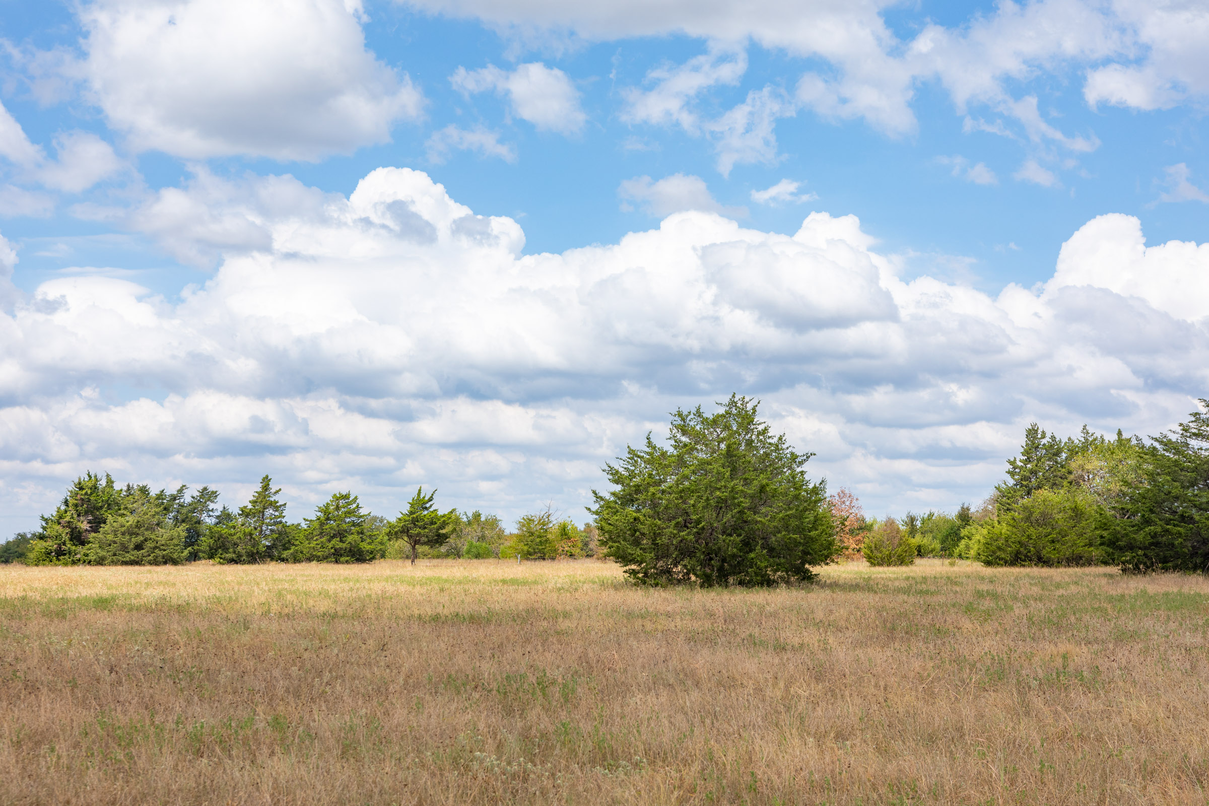 Tract 3 at Wildflower Reserve in Hunt County, Texas