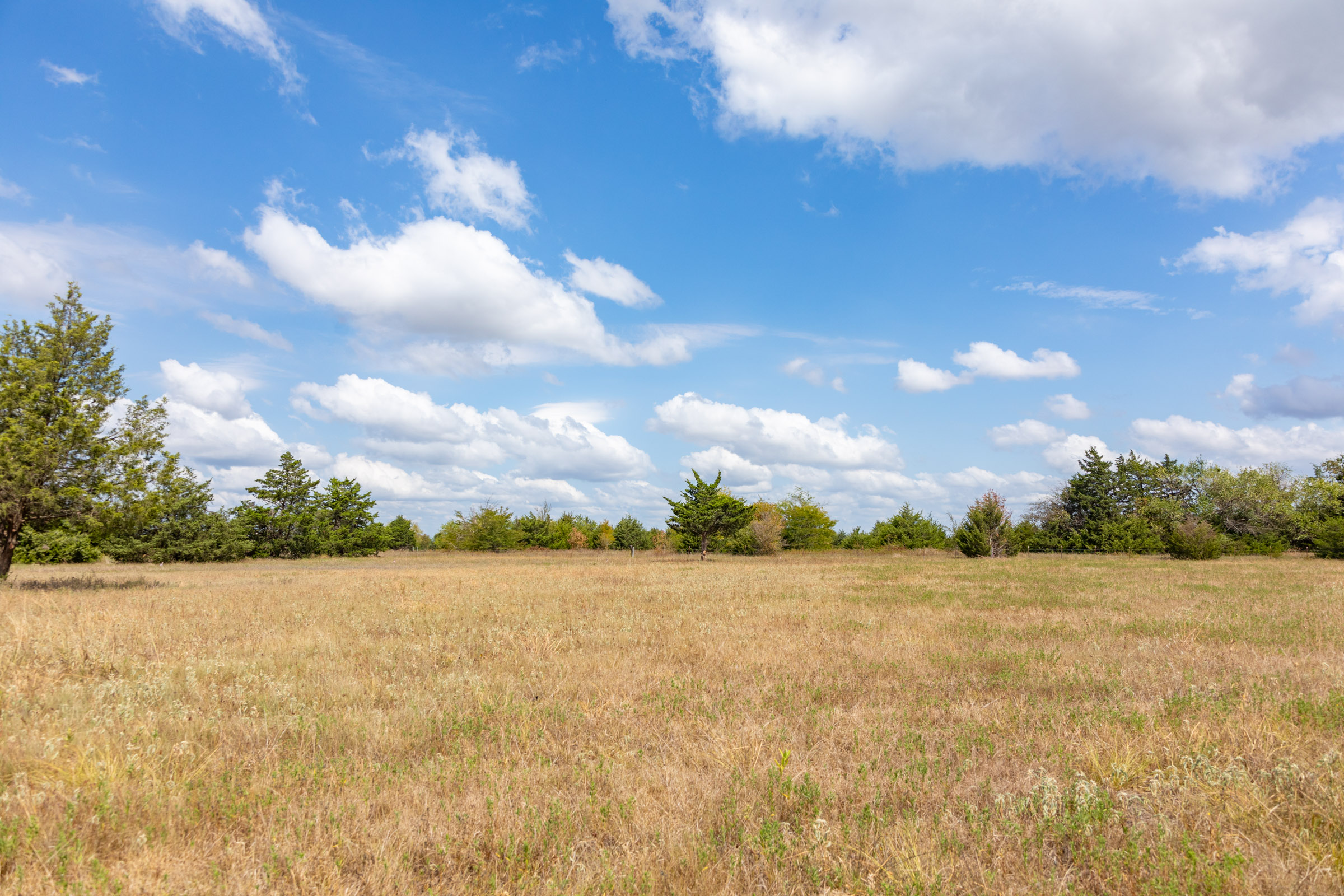 Tract 5 at Wildflower Reserve in Hunt County, Texas